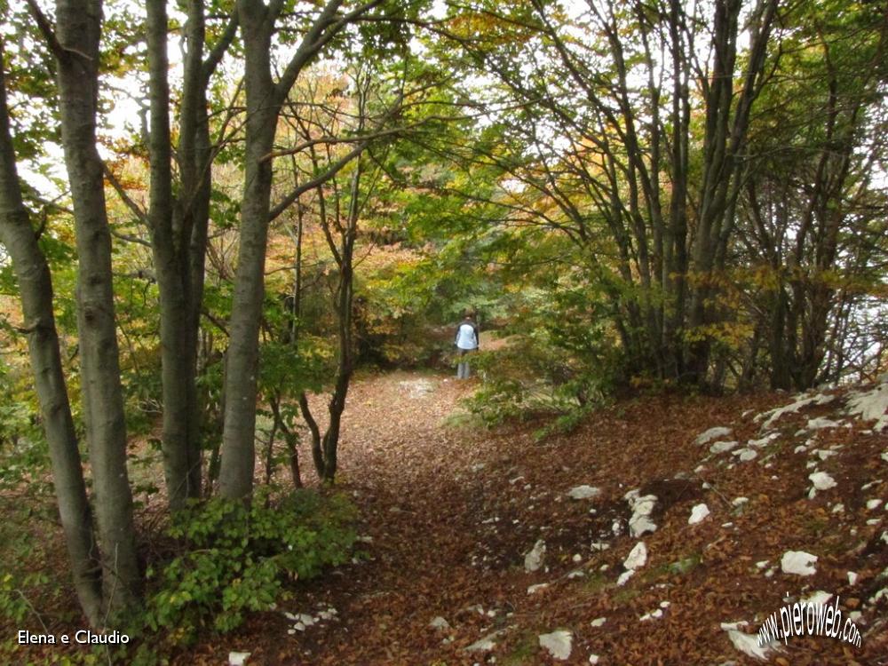 09 Si entra nel  bosco.JPG